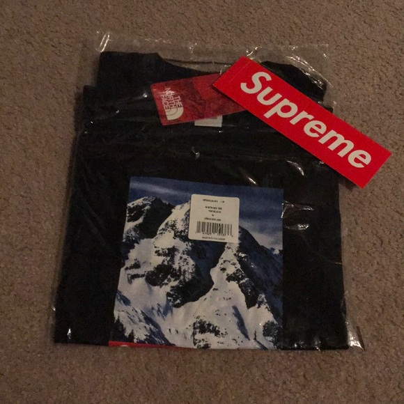 Supreme x the north face tee shirt.